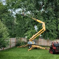 Best Arborist Consultation Services  in Elkton, VA