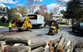 Best Landscape Design and Installation  in Elkton, VA