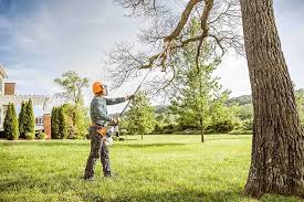  Elkton, VA Tree Services Pros